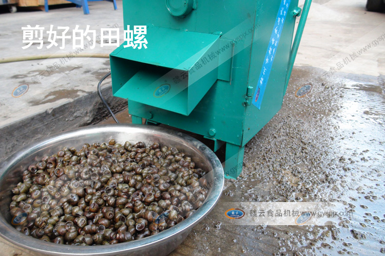 全自動田螺剪尾機-剪田螺