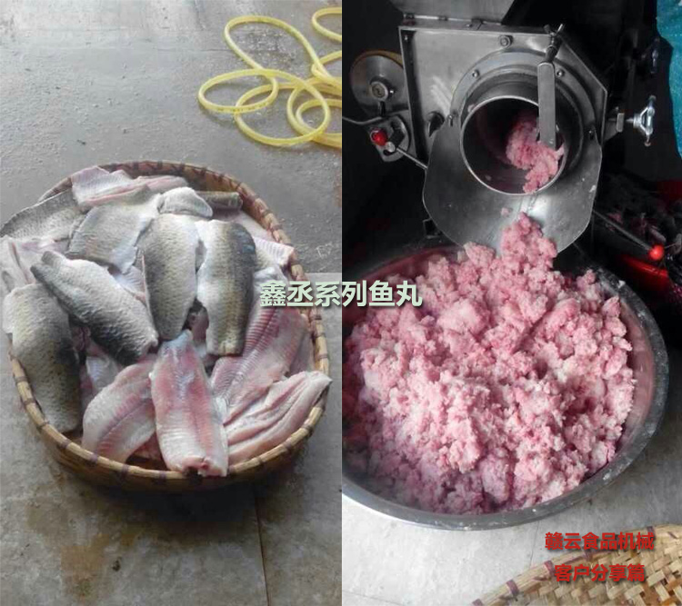 客戶訂購(gòu)的300不銹鋼魚肉采肉機(jī)采取的新鮮魚肉