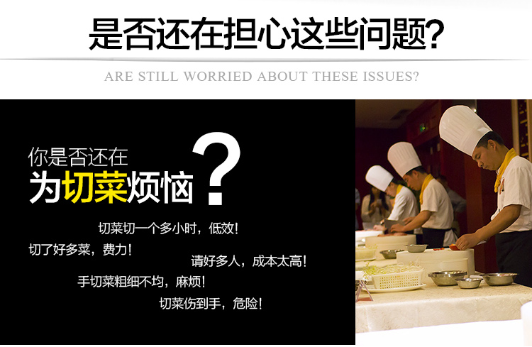 數字切菜機-115B型雙頭切菜機