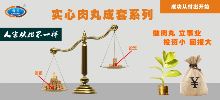 實心肉丸成套設備，讓你從此不一樣